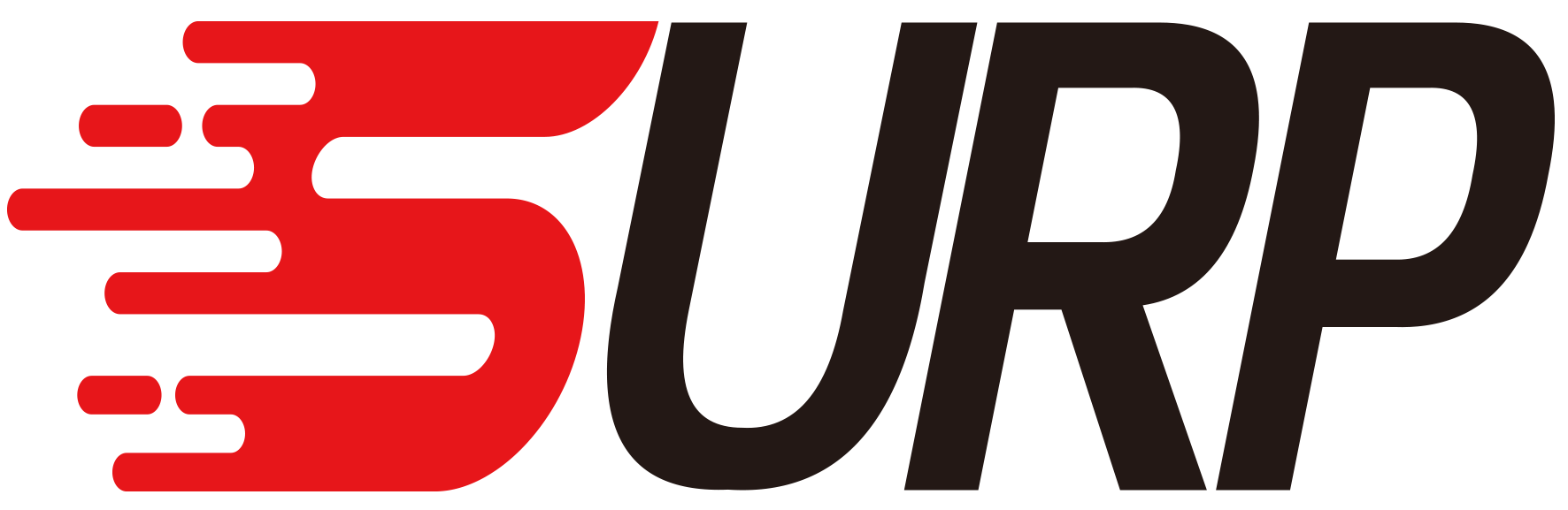 Surpbiz